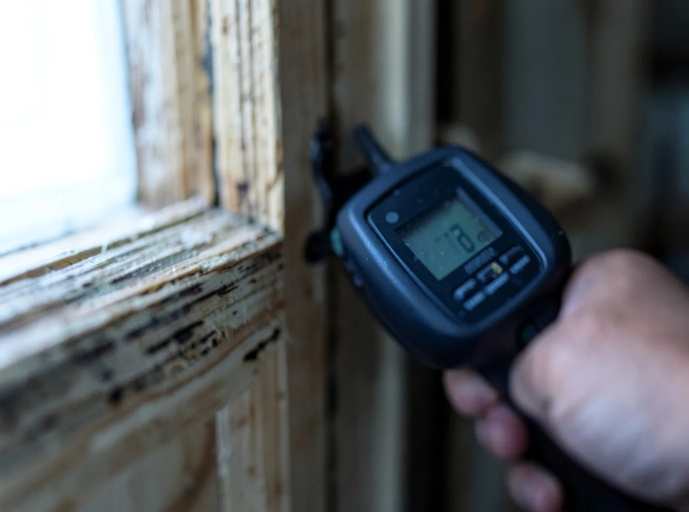 Commercial Water Damage Restoration in Walcott, IA